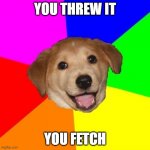 like every dog ever | YOU THREW IT; YOU FETCH | image tagged in memes | made w/ Imgflip meme maker