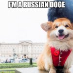 wrong answers only tell in comments | I'M A RUSSIAN DOGE | image tagged in dog | made w/ Imgflip meme maker