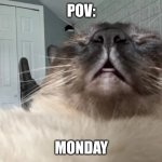 Cate | POV:; MONDAY | image tagged in cate | made w/ Imgflip meme maker