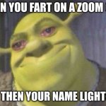 Crying shrek | WHEN YOU FART ON A ZOOM CALL; AND THEN YOUR NAME LIGHTS UP | image tagged in crying shrek | made w/ Imgflip meme maker