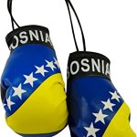 Bosnia Country Flag Mini Boxing Gloves