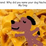 The Nacho Dog | Friend: Why did you name your dog Nachos?
My Dog: | image tagged in why the horror of nachos | made w/ Imgflip meme maker