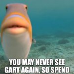 Gary | THIS IS GARY; YOU MAY NEVER SEE GARY AGAIN, SO SPEND QUALITY TIME WITH HIM | image tagged in staring fish | made w/ Imgflip meme maker