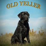 Black Old Yeller meme