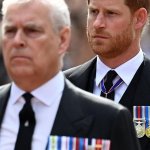 Prince Andrew and Prince Harry