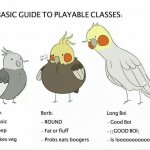 Birbs (not my image :) )