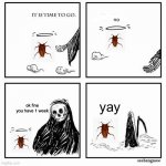 headless cockroach | no yay ok fine you have 1 week | image tagged in it is time to go | made w/ Imgflip meme maker
