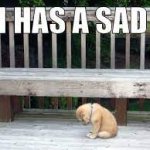 I has a sad