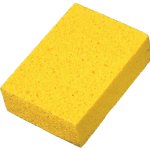 sponge