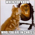 cat mirror lion | WHEN YOU KNOW; WHO YOU ARE IN CHRIST | image tagged in cat mirror lion | made w/ Imgflip meme maker