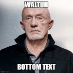 waltuh | WALTUH; BOTTOM TEXT | image tagged in yes | made w/ Imgflip meme maker