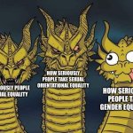 Agree? | HOW SERIOUSLY PEOPLE TAKE SEXUAL ORIENTATIONAL EQUALITY; HOW SERIOUSLY PEOPLE TAKE GENDER EQUALITY; HOW SERIOUSLY PEOPLE TAKE RACIAL EQUALITY | image tagged in equality | made w/ Imgflip meme maker