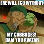 i love you cabbage | WHERE WILL I GO WITHOUT ALL; MY CABBAGES! 
DAM YOU AVATAR | image tagged in i love you cabbage | made w/ Imgflip meme maker