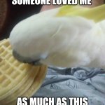 Waffle birb | I WISH SOMEONE LOVED ME; AS MUCH AS THIS DOG LOVES PANCAKES | image tagged in waffle birb | made w/ Imgflip meme maker