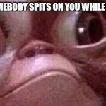 Gremlin Gizmo | WHEN SOMEBODY SPITS ON YOU WHILE THEY TALK | image tagged in gremlin gizmo | made w/ Imgflip meme maker