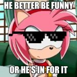 Unamused Amy Rose | HE BETTER BE FUNNY; OR HE'S IN FOR IT | image tagged in unamused amy rose | made w/ Imgflip meme maker