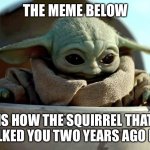baby yoda looking down | THE MEME BELOW; IS HOW THE SQUIRREL THAT STALKED YOU TWO YEARS AGO DIED | image tagged in baby yoda looking down | made w/ Imgflip meme maker