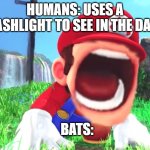 Mario screaming | HUMANS: USES A FLASHLIGHT TO SEE IN THE DARK BATS: | image tagged in mario screaming,memes,funny,mario,humans,bats | made w/ Imgflip meme maker
