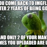 I wanna cry | YOU COME BACK TO IMGFLIP AFTER 2 YEARS OF BEING GONE AND ONLY 2 OF YOUR MANY MEMES YOU UPLOADED ARE LEFT. | image tagged in kermit window | made w/ Imgflip meme maker