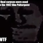 wtf tho | Real corpses were used in the 1982 film Poltergeist; WTF | image tagged in trollge | made w/ Imgflip meme maker