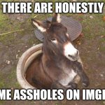Asshole | THERE ARE HONESTLY; SOME ASSHOLES ON IMGFLIP | image tagged in asshole | made w/ Imgflip meme maker