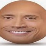 e g g