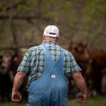 chunky farmer