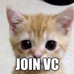 Join Vc | JOIN VC | image tagged in cat,memes | made w/ Imgflip meme maker