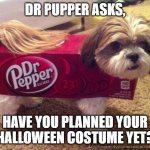 Dr Pepper Costume | DR PUPPER ASKS, HAVE YOU PLANNED YOUR HALLOWEEN COSTUME YET? | image tagged in dr pepper costume | made w/ Imgflip meme maker