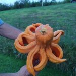 Cthulhu baby pic