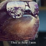 Sloth this is how i win meme
