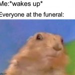 Dramatic Chipmunk | Me:*wakes up*; Everyone at the funeral: | image tagged in dramatic chipmunk,funeral,wake up | made w/ Imgflip meme maker