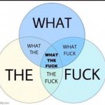 what the fuck what the what fuck what the fuck the fuck