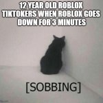 Anyone who's Literally Crying Over a Game Breaking Down Needs to Touch Some Grass. | 12 YEAR OLD ROBLOX 
TIKTOKERS WHEN ROBLOX GOES 
DOWN FOR 3 MINUTES | image tagged in sobbing cat,roblox,roblox meme,roblox down | made w/ Imgflip meme maker