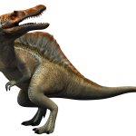 Spinosaurus 5 (JP3 Design)