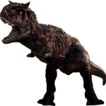 Toro 3