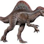 Spinosaurus 8 (JP3 Design)