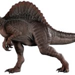 Spinosaurus 10