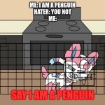 Angry Sylveon | ME: I AM A PENGUIN
HATER: YOU NOT
ME:; SAY I AM A PENGUIN | image tagged in angry sylveon | made w/ Imgflip meme maker
