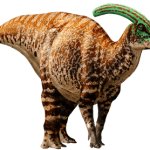 Parasaurolophus 2 (Website Design)
