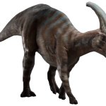 Parasaurolophus 2 (JWD Design)