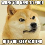 Potty Humor | WHEN YOU NEED TO POOP; BUT YOU KEEP FARTING | image tagged in disappointed doge,pooping | made w/ Imgflip meme maker