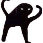 Cursed cat transparent