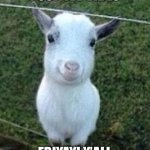 Happy friday | POSITIVE VIBES; FRIYAY! Y’ALL | image tagged in good vibes goat | made w/ Imgflip meme maker