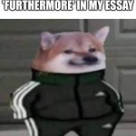 Cheebs Tracksuit | HOW I FEEL AFTER ADDING 'FURTHERMORE' IN MY ESSAY | image tagged in cheebs tracksuit,school meme,high school,school,essays | made w/ Imgflip meme maker