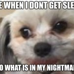 smiledog | ME WHEN I DONT GET SLEEP; ALSO WHAT IS IN MY NIGHTMARE'S | image tagged in smiledog | made w/ Imgflip meme maker