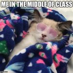 It’s a brand new template (it’s my original :]  ) | ME IN THE MIDDLE OF CLASS | image tagged in gangsta kitten,original memes,original character | made w/ Imgflip meme maker