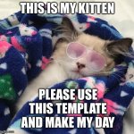 :] I want to see this everywhere (p.s. his name is Qibli | THIS IS MY KITTEN; PLEASE USE THIS TEMPLATE AND MAKE MY DAY | image tagged in gangsta kitten | made w/ Imgflip meme maker