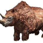 Woolly Rhinoceros (JWA Design)