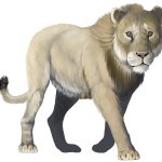 American Lion